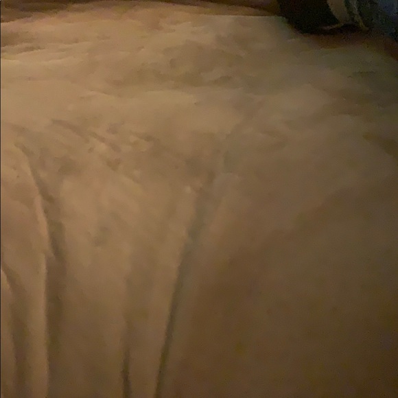 Meet your Posher, Jake - Picture 1 of 1